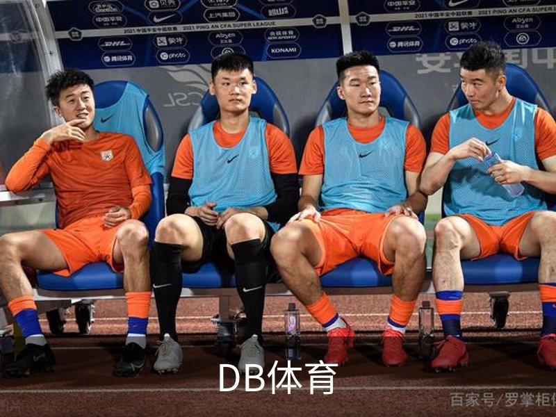 DB体育概况